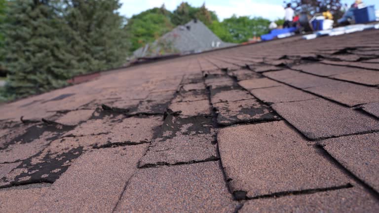 Best Emergency Roof Repair Services  in Fairfield Beach, OH